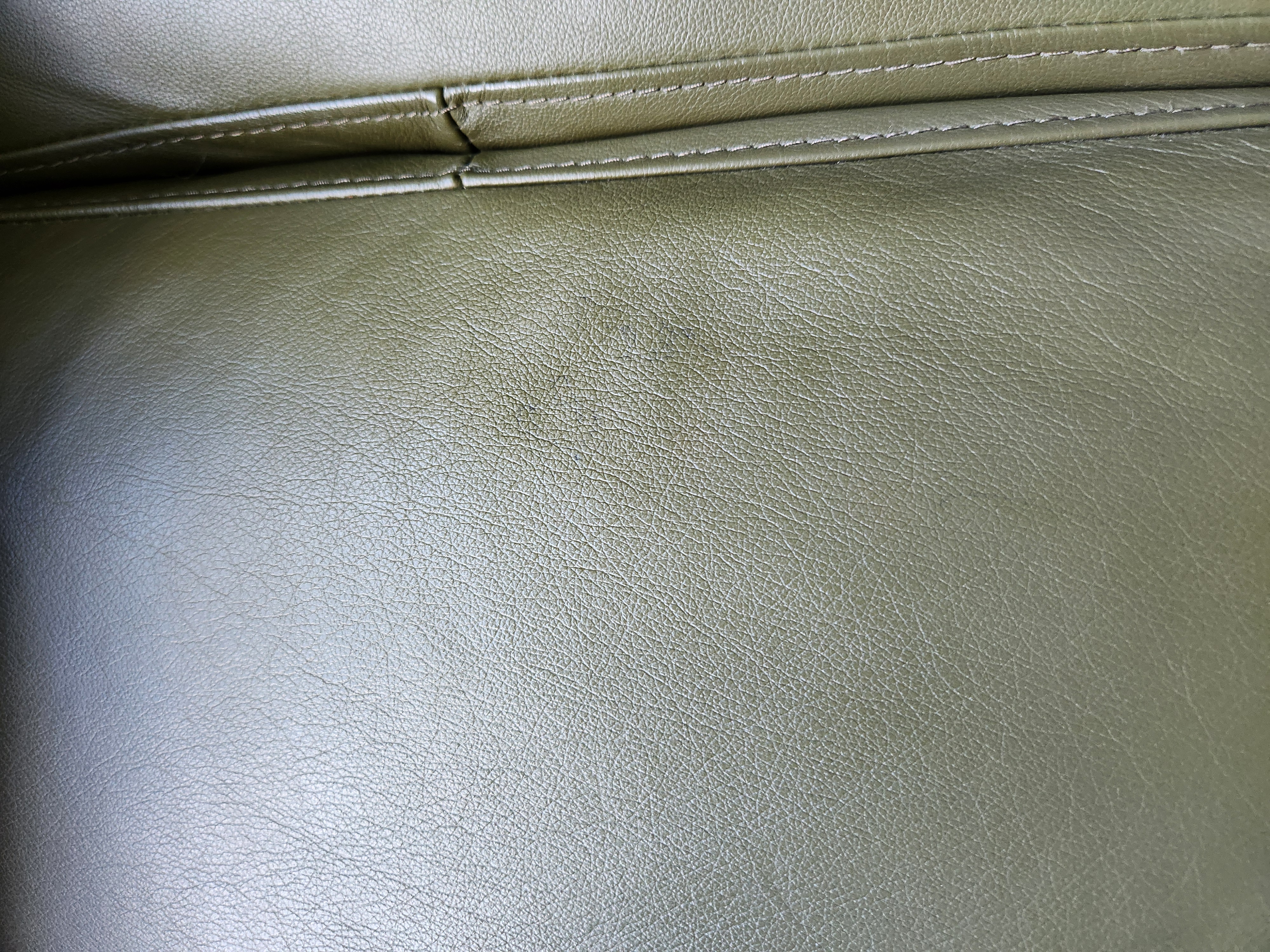 INK REMOVAL - Elizabeth Fahey #1